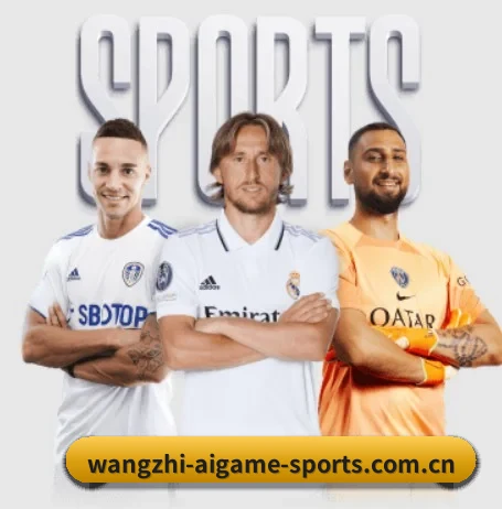 本站五个常用功能入口,赛程查询路径更短
