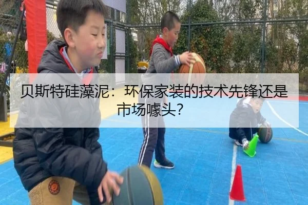 贝斯特硅藻泥：环保家装的技术先锋还是市场噱头？