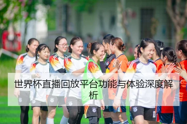 世界杯直播回放平台功能与体验深度解析